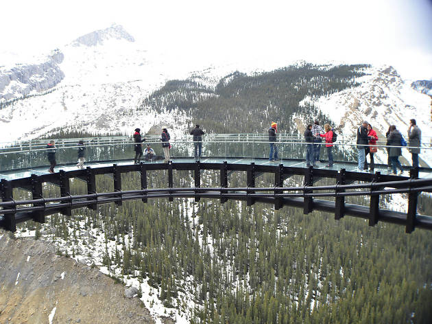 Glacier Skywalk, Jasper Glacier Skywalk, Jasper