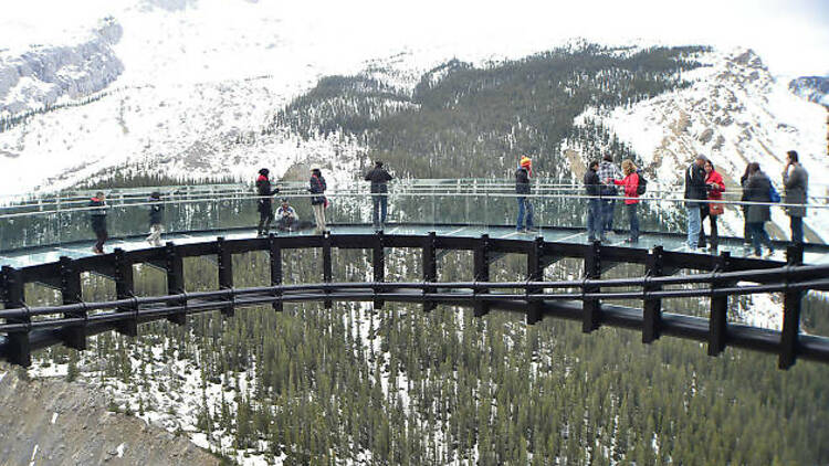 Glacier Skywalk, Jasper