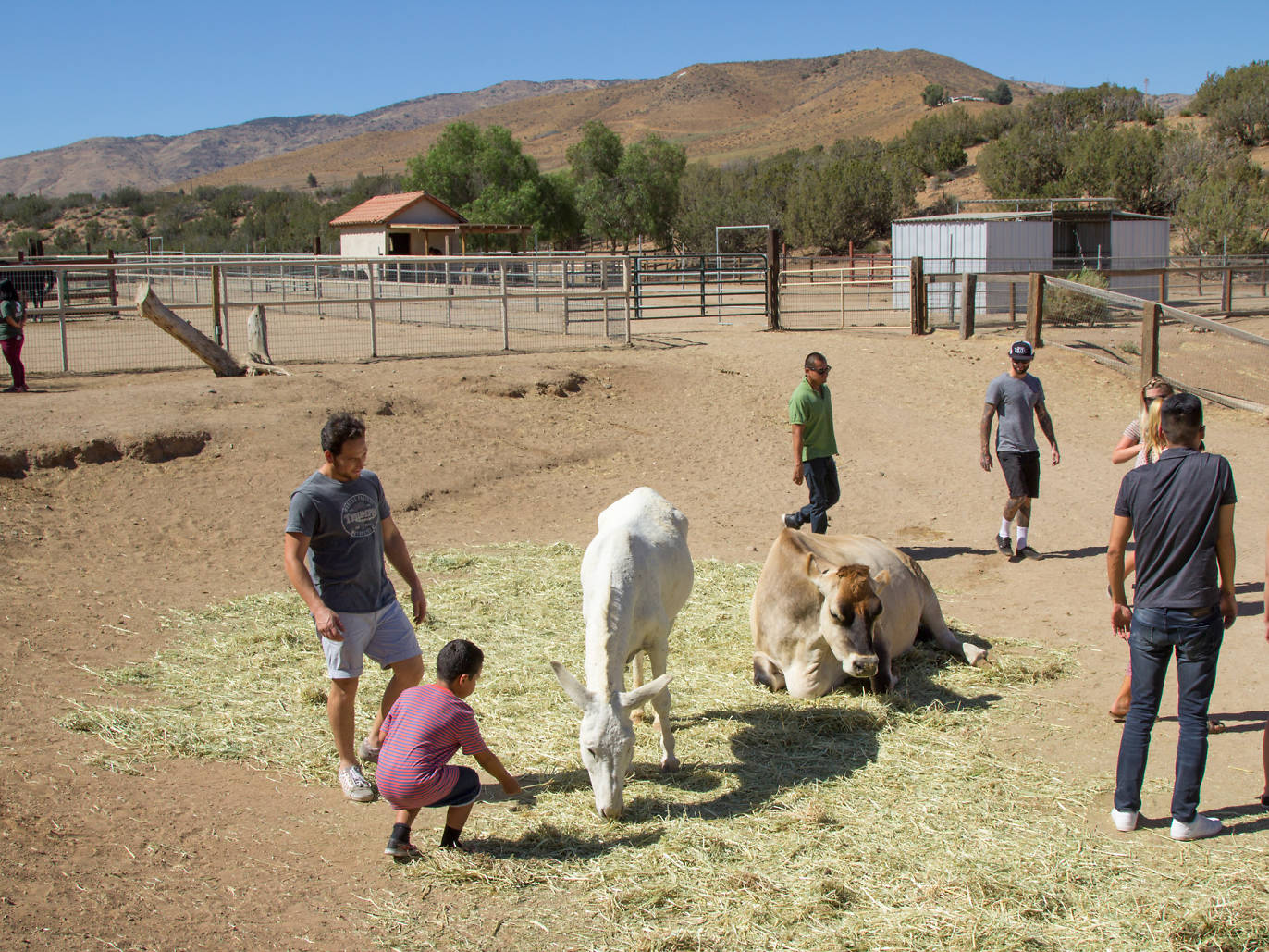 Wildlife Sanctuaries Near Los Angeles for Animal Encounters