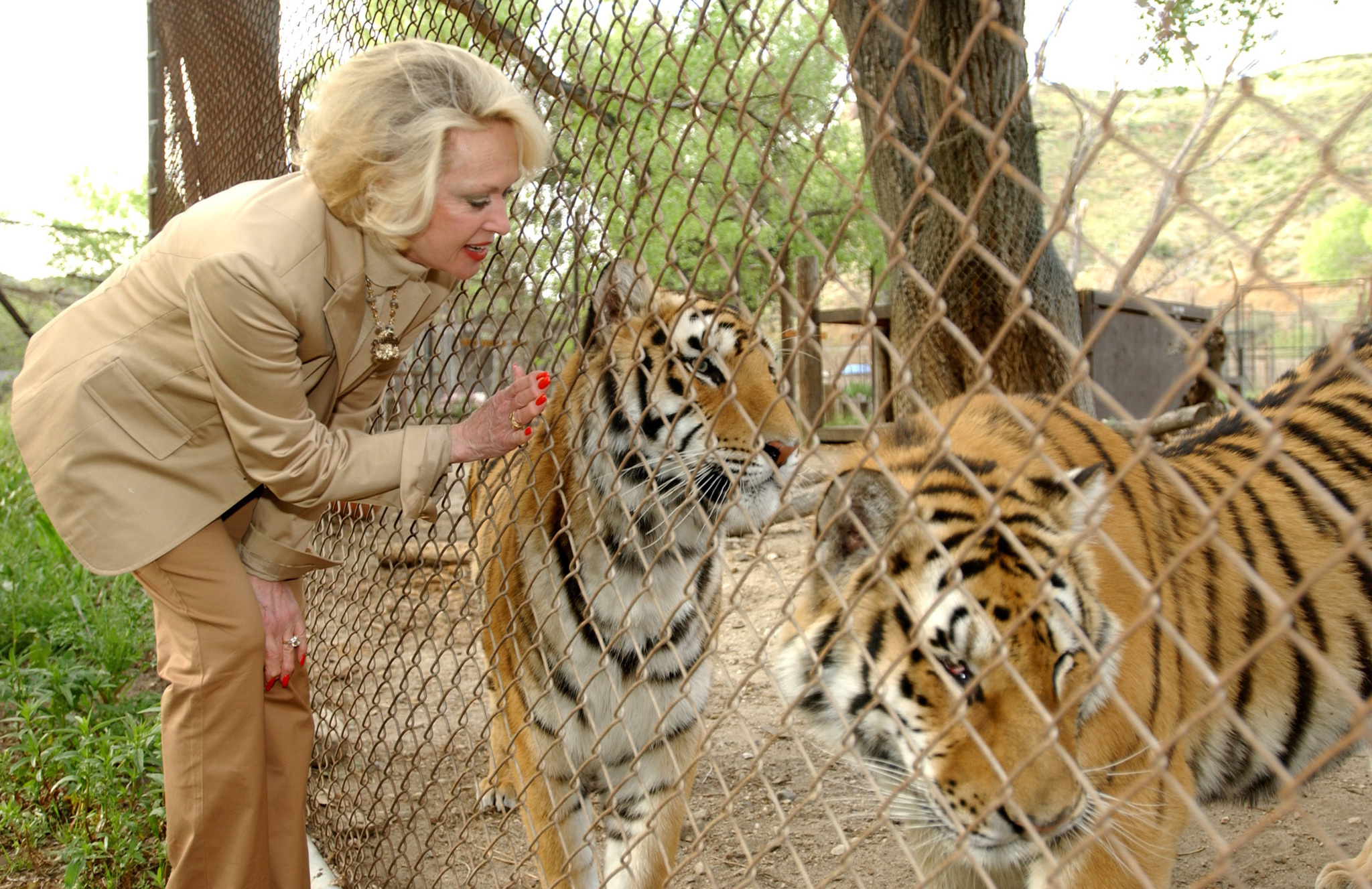 Shambala Preserve Attractions in Antelope Valley, Los Angeles