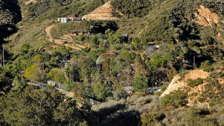 Wildlife Waystation