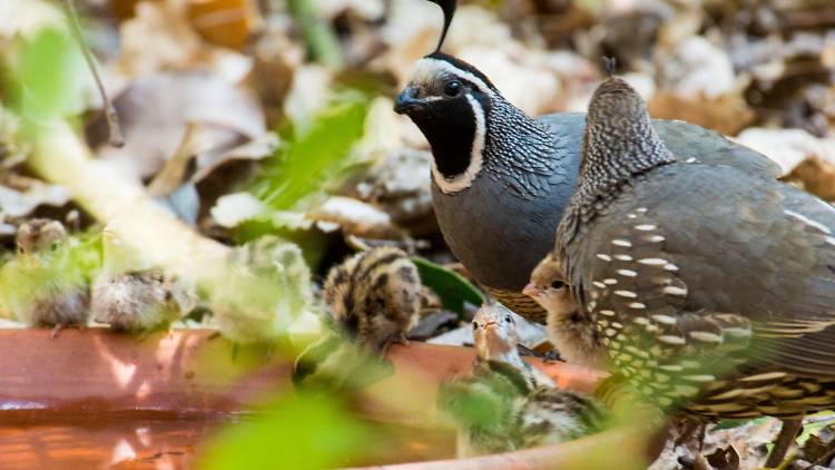 Tucker Wildlife Sanctuary