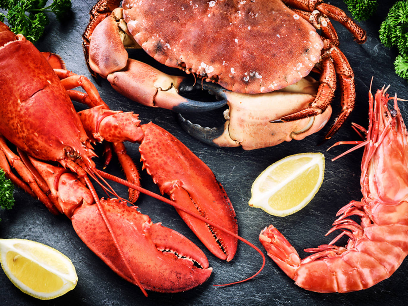 16 Best Seafood Restaurants in Miami for a FreshCaught Feast