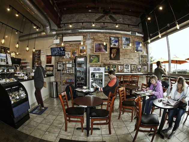 City News Cafe City News Cafe