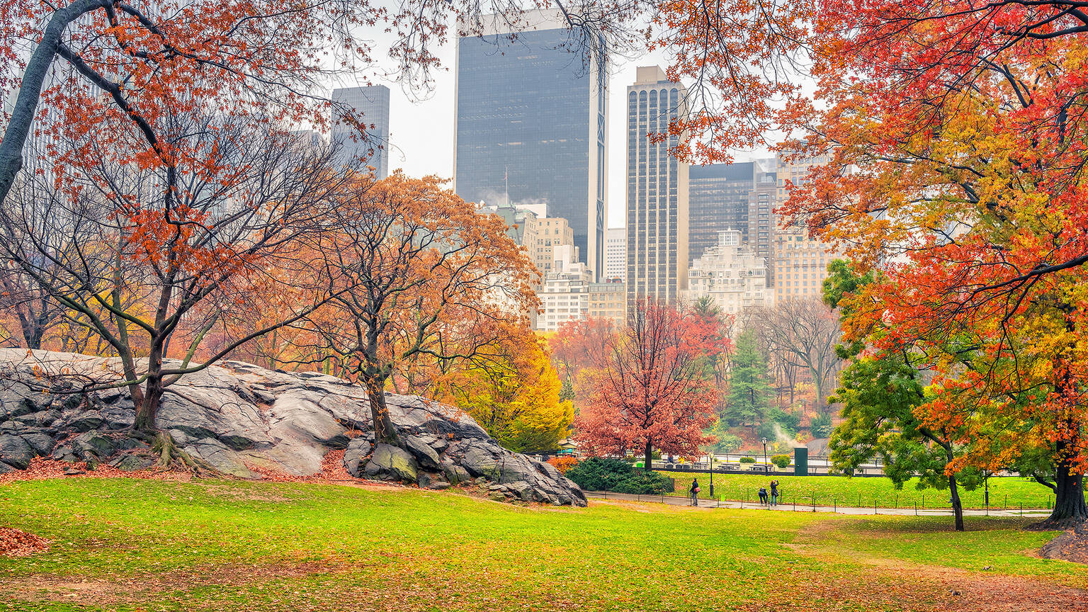 Check out this map of where fall leaves are changing in New York state