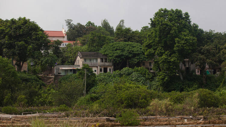 All ghoul fun: Visit ‘Ghost Island’, Yim Tin Tsai