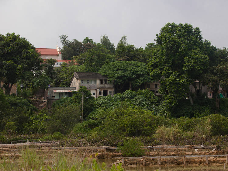 All ghoul fun: Visit ‘Ghost Island’, Yim Tin Tsai