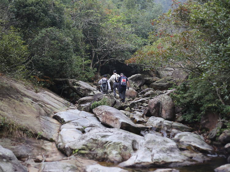 Go with the flow: Canyoning and stream trekking at Ping Nam Stream