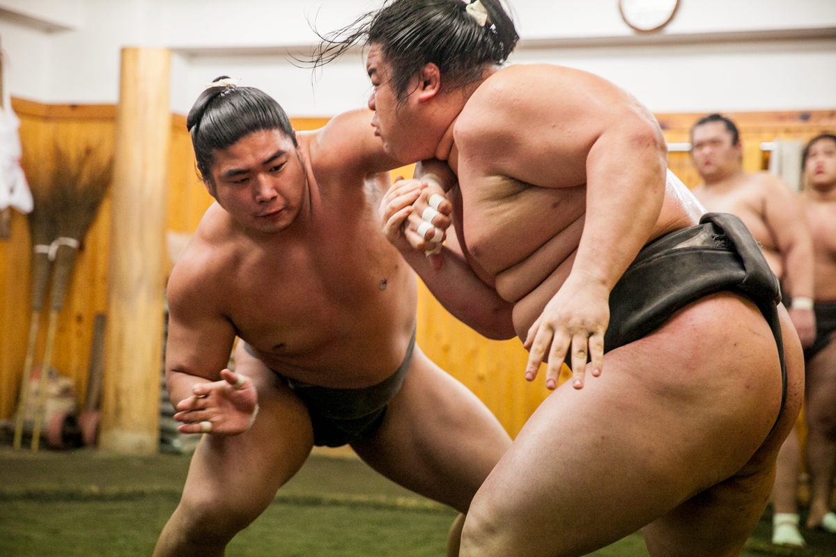 Conservative world of sumo slow to take action on concussion | Sumo  wrestling | The Guardian