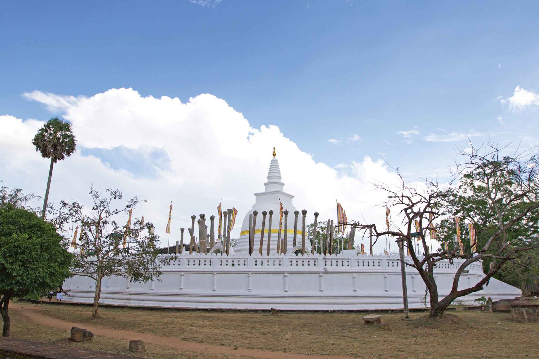 Ill Full Moon Poya Day, image size:2048x1365