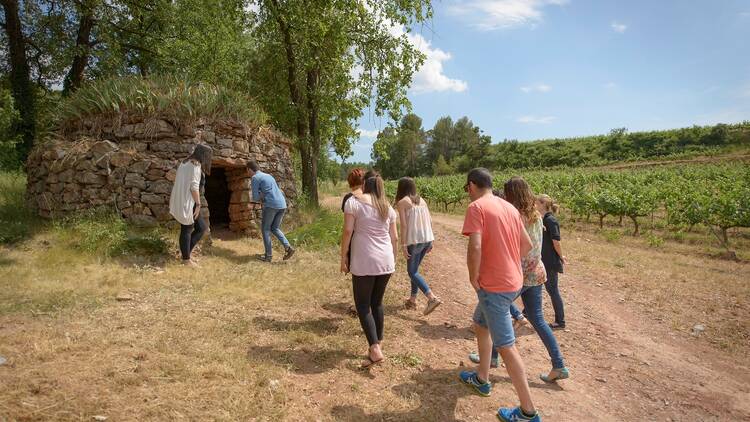 Day 2: Vineyard huts