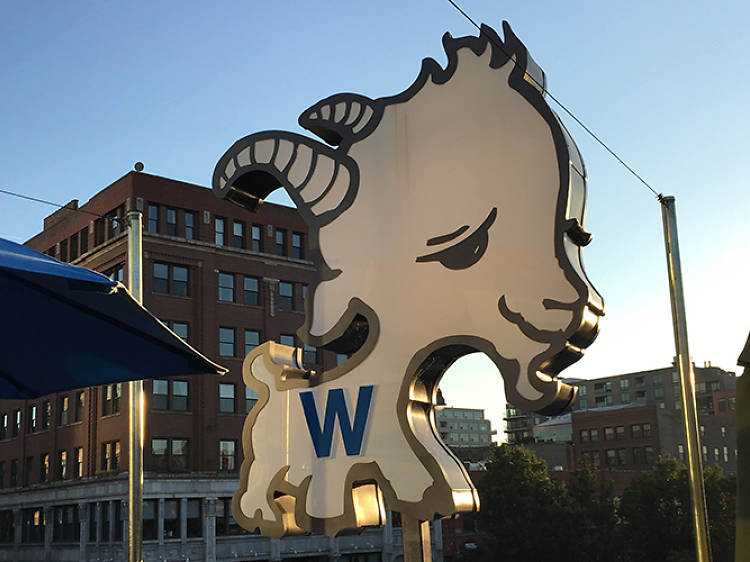 10 heartwarming displays of Cubs pride in Chicago