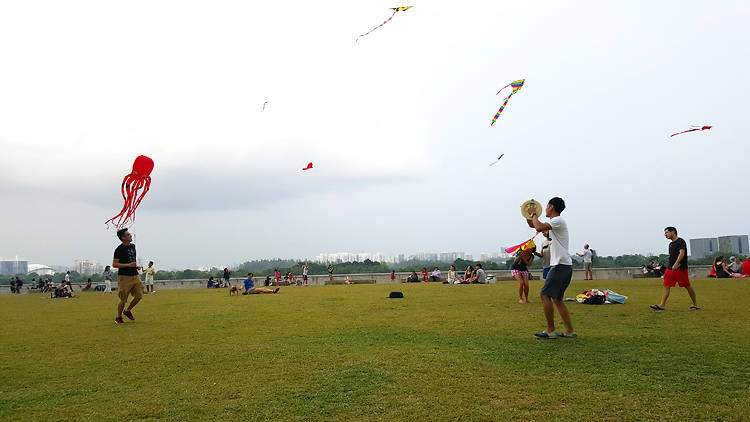 Kite flying