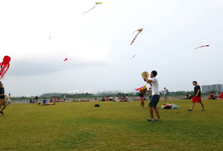 Kite flying