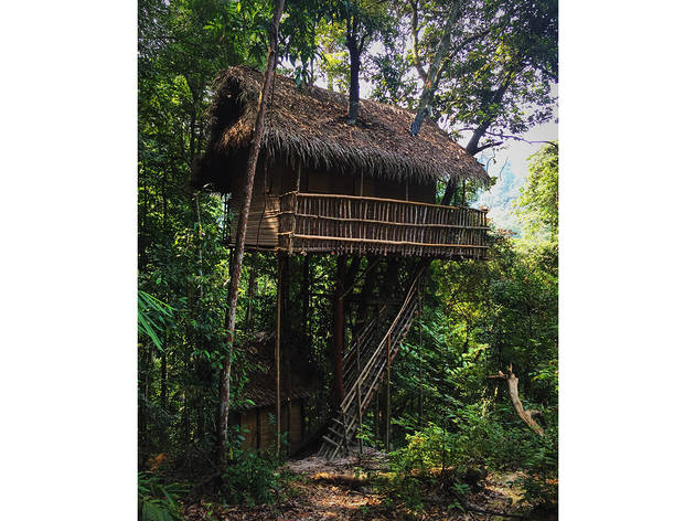 Rainforest Tree House (Kulai, Johor) Rainforest Tree House (Kulai, Johor)