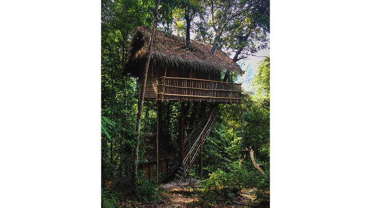 Rainforest Tree House (Kulai, Johor)