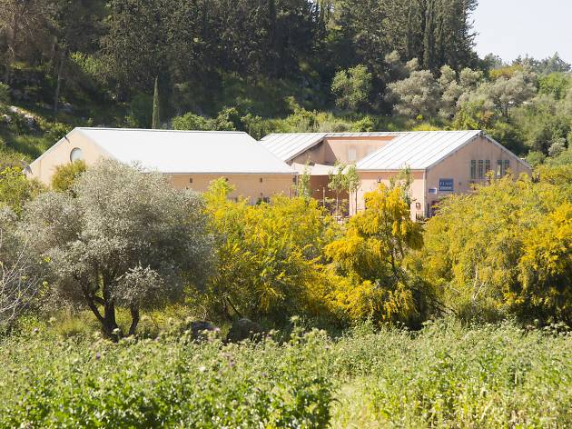 Flam Winery Flam Winery