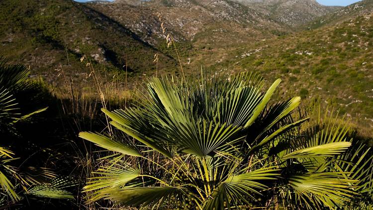 Tarda dia 1: el Parc del Garraf