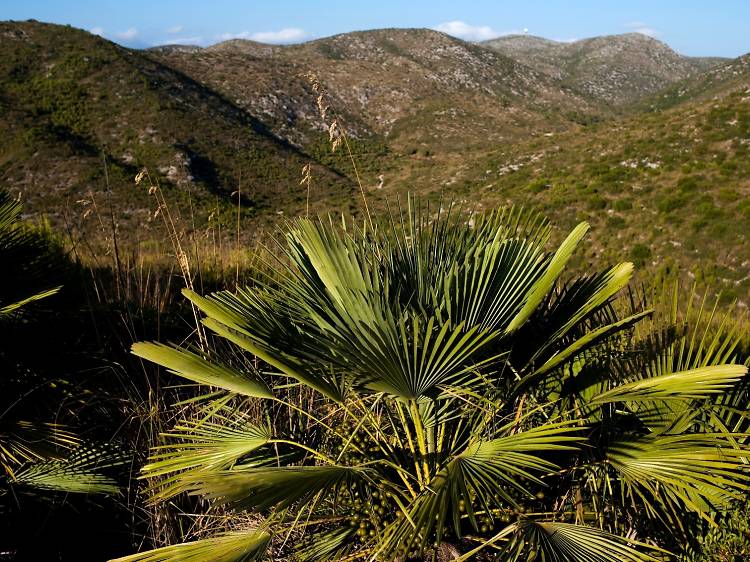 Afternoon day 1: Garraf Park