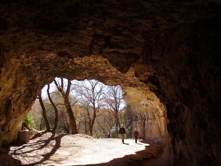 Coves del Toll Moià