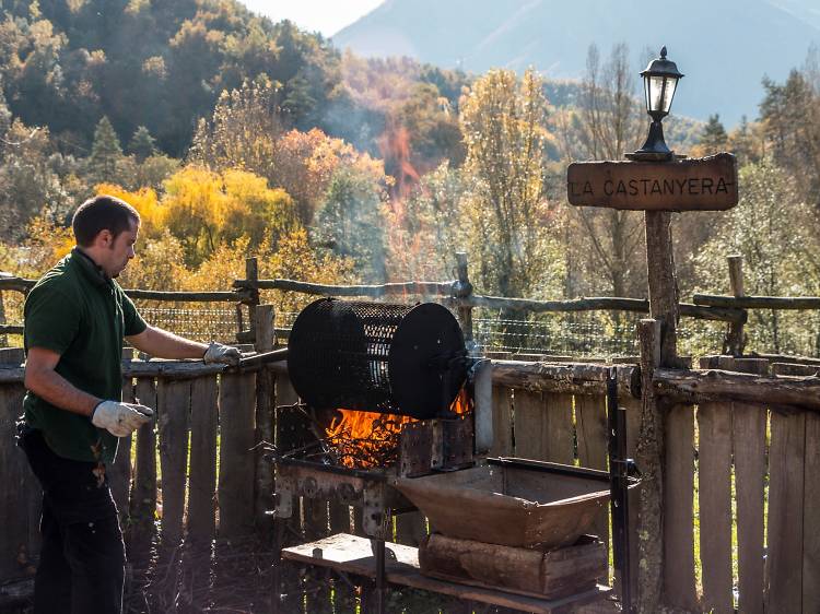 Tarde día 1: La Castaña de Viladrau