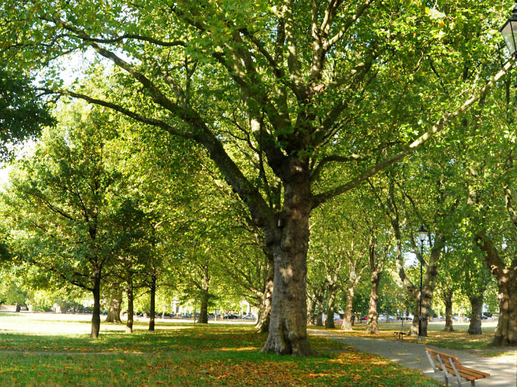 Highbury Fields