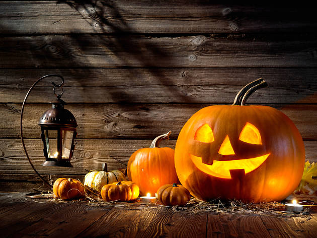 Halloween Halloween