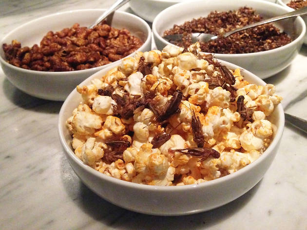 There's a growing movement to eat bugs in L.A. But will it catch on? Bugible bugs dinner