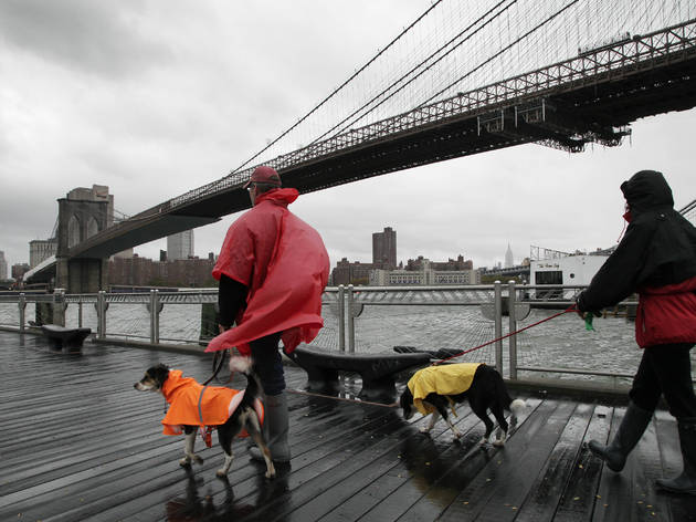 New York could be looking at a bad hurricane season this year New York could be looking at a bad hurricane season this year