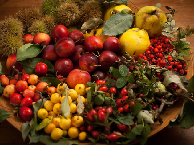 Five amazing ingredients you can forage in London this autumn Five amazing ingredients you can forage in London this autumn