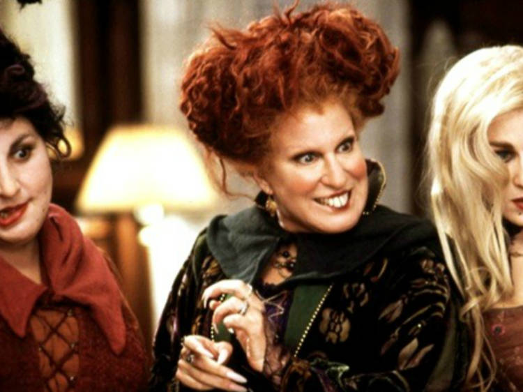 Hocus Pocus