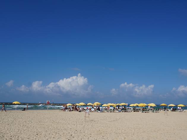 Banana Beach Attractions In Tel Aviv Beach Israel