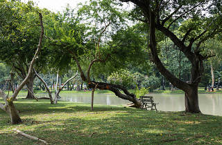 Chatuchak Park | Attractions in Chatuchak, Bangkok