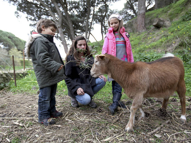 Quinta pedagógica Armando Villar Quinta pedagógica Armando Villar