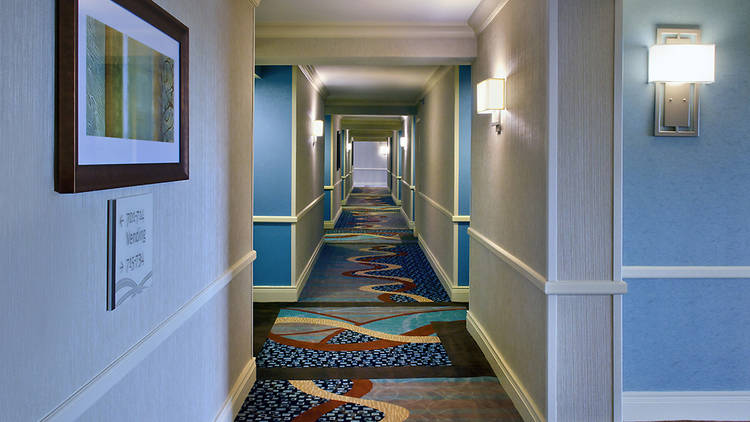 Photograph: Courtesy Hilton New York JFK