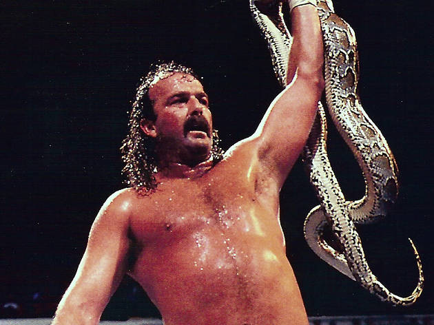 The Resurrection Of Jake the Snake The Resurrection Of Jake the Snake