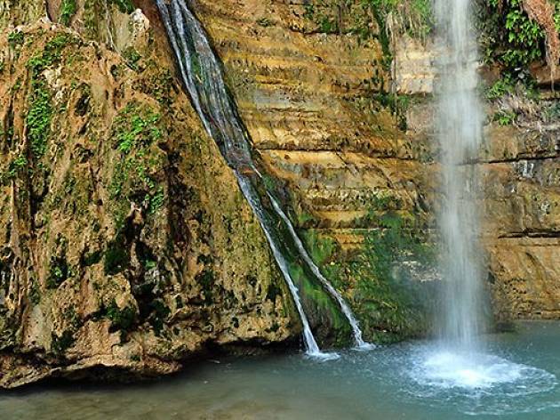 Refreshing hikes: Israel’s five wettest water hikes Refreshing hikes: Israel’s five wettest water hikes
