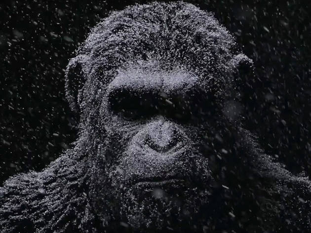 War for the Planet of the Apes War for the Planet of the Apes