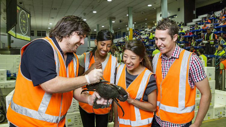 Tour guide showing visitors a blue swimmer crab