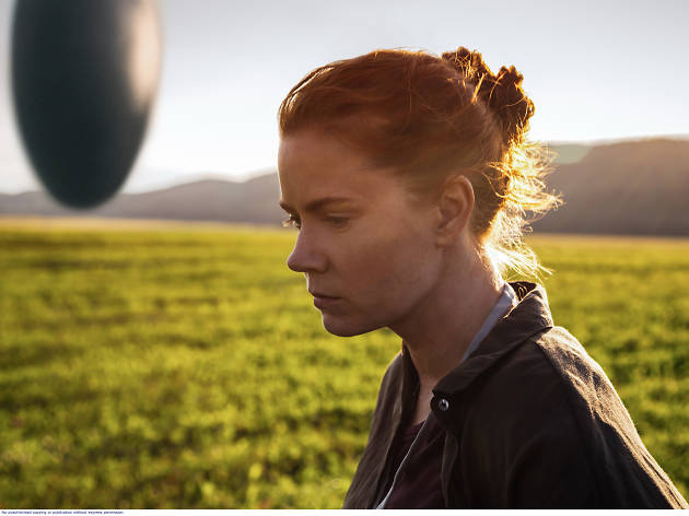 Amy Adams in Arrival Amy Adams in The Arrival