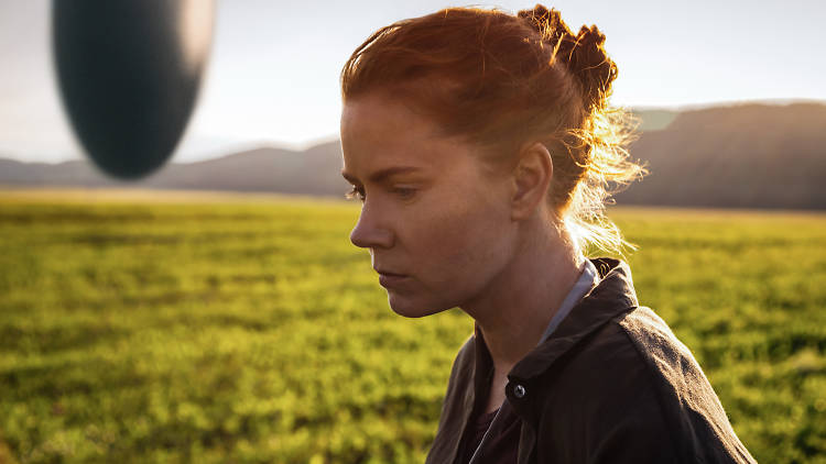 Amy Adams in The Arrival