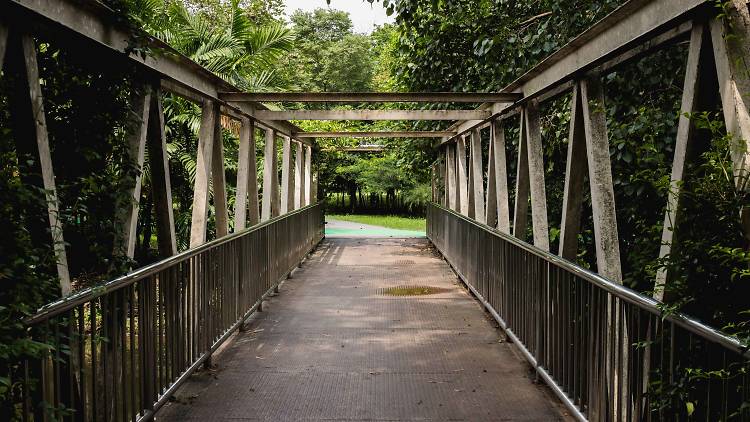 A bridge at the rodfai Park