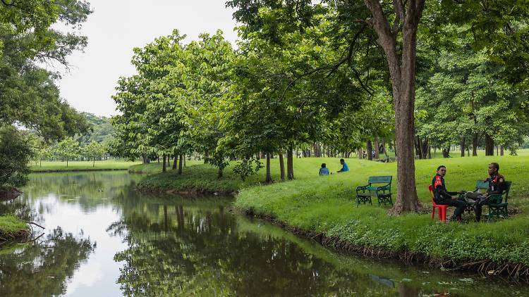 a manmade lake at rodfai park