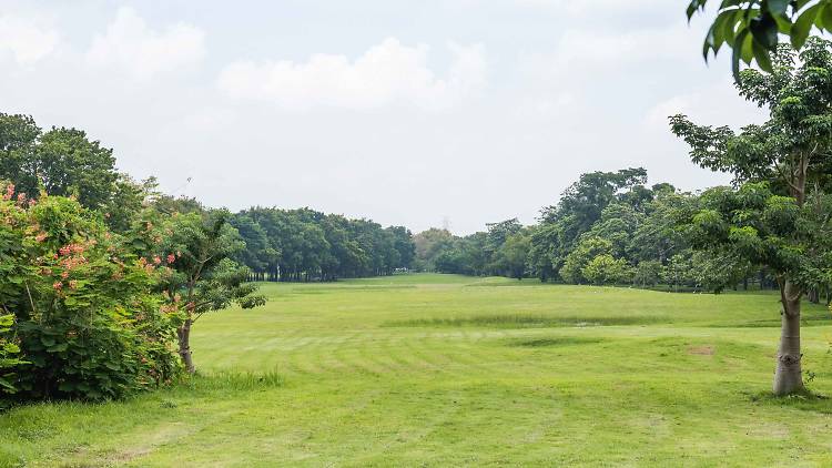 rodfai park  green