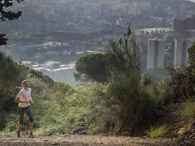 Ruta running Ruta running