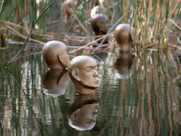 Sculpture Garden at the NGA National Gallery of Australia Bronze heads poke out from a pond amongst the rushes