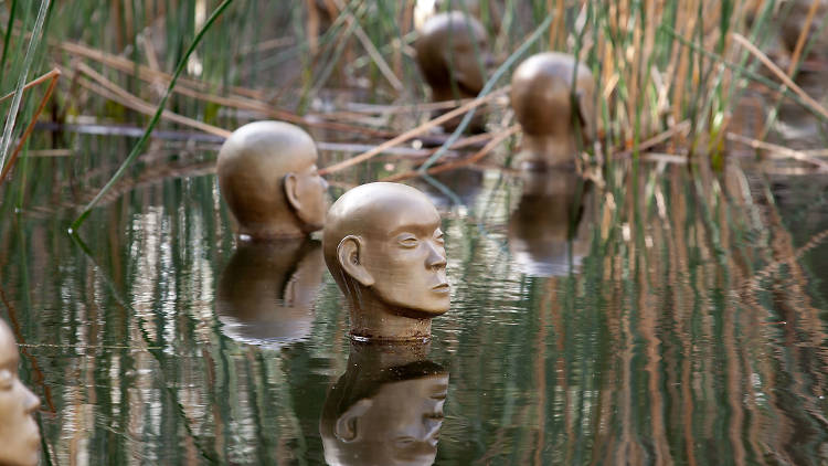 Bronze heads poke out from a pond amongst the rushes