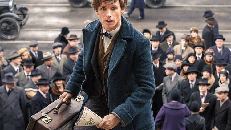 Eddie Redmayne reveals all about Fantastic Beats and Where to Find Them