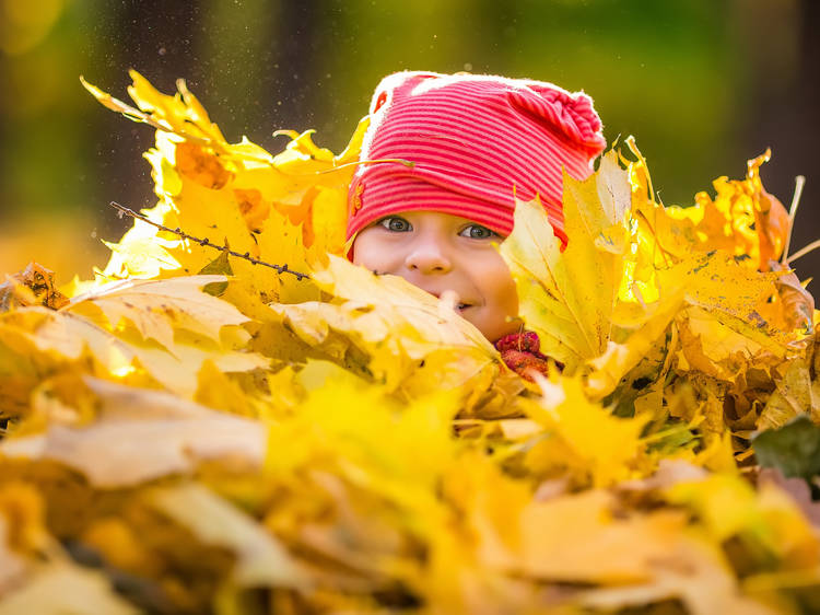 14 adorable fall baby names you’ll love