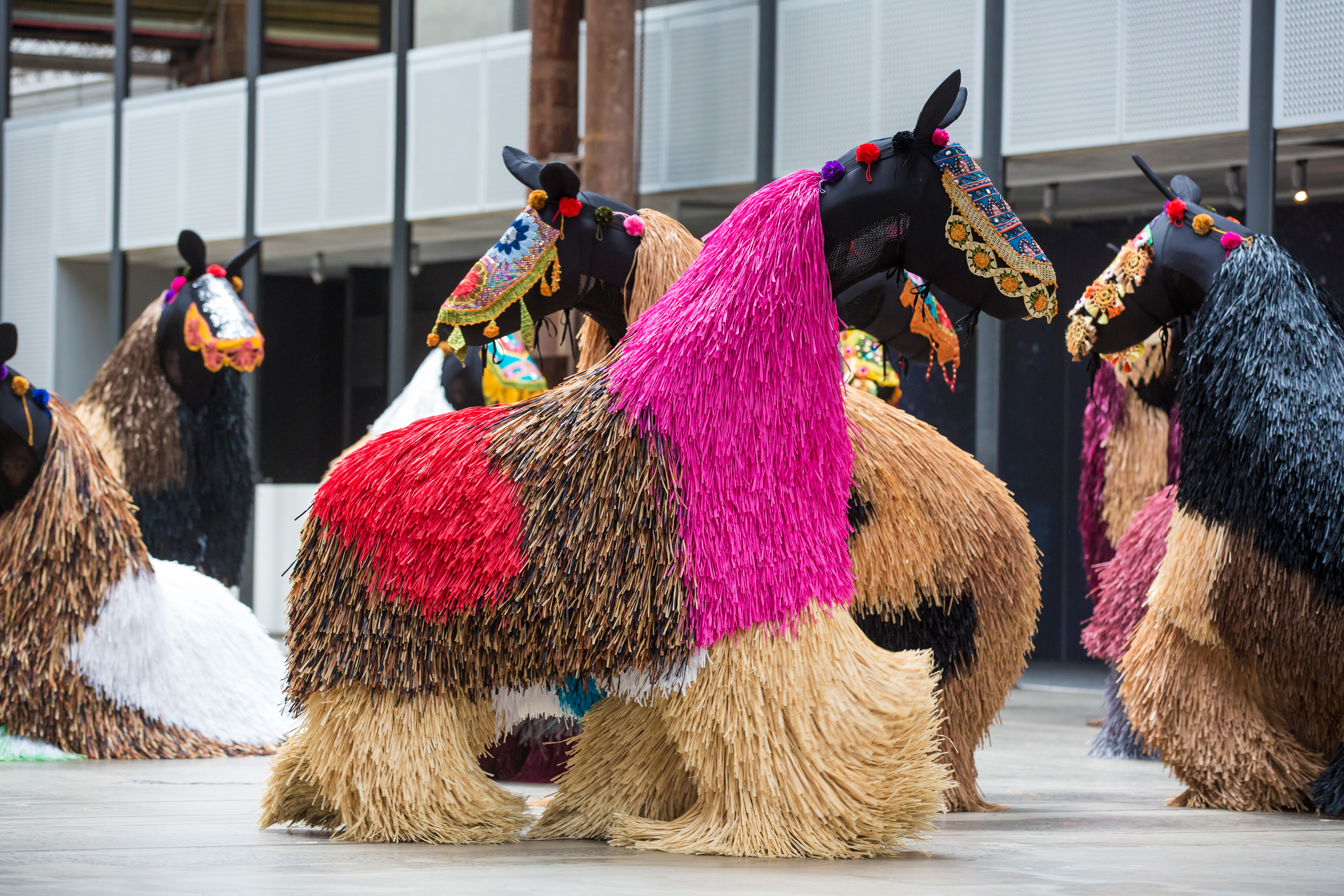 A herd of colourful dancing horses is coming to the CBD and